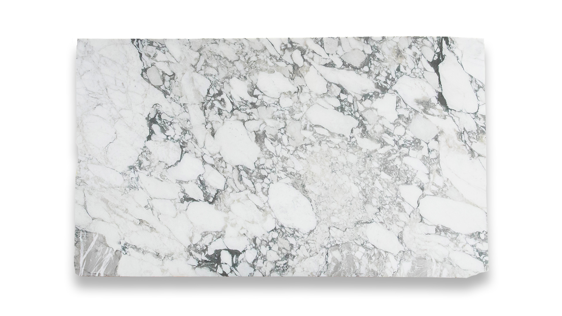 A slab of Arabescato Vagli Honed marble featuring a white background with intricate gray veining and bold, irregular patterns throughout.