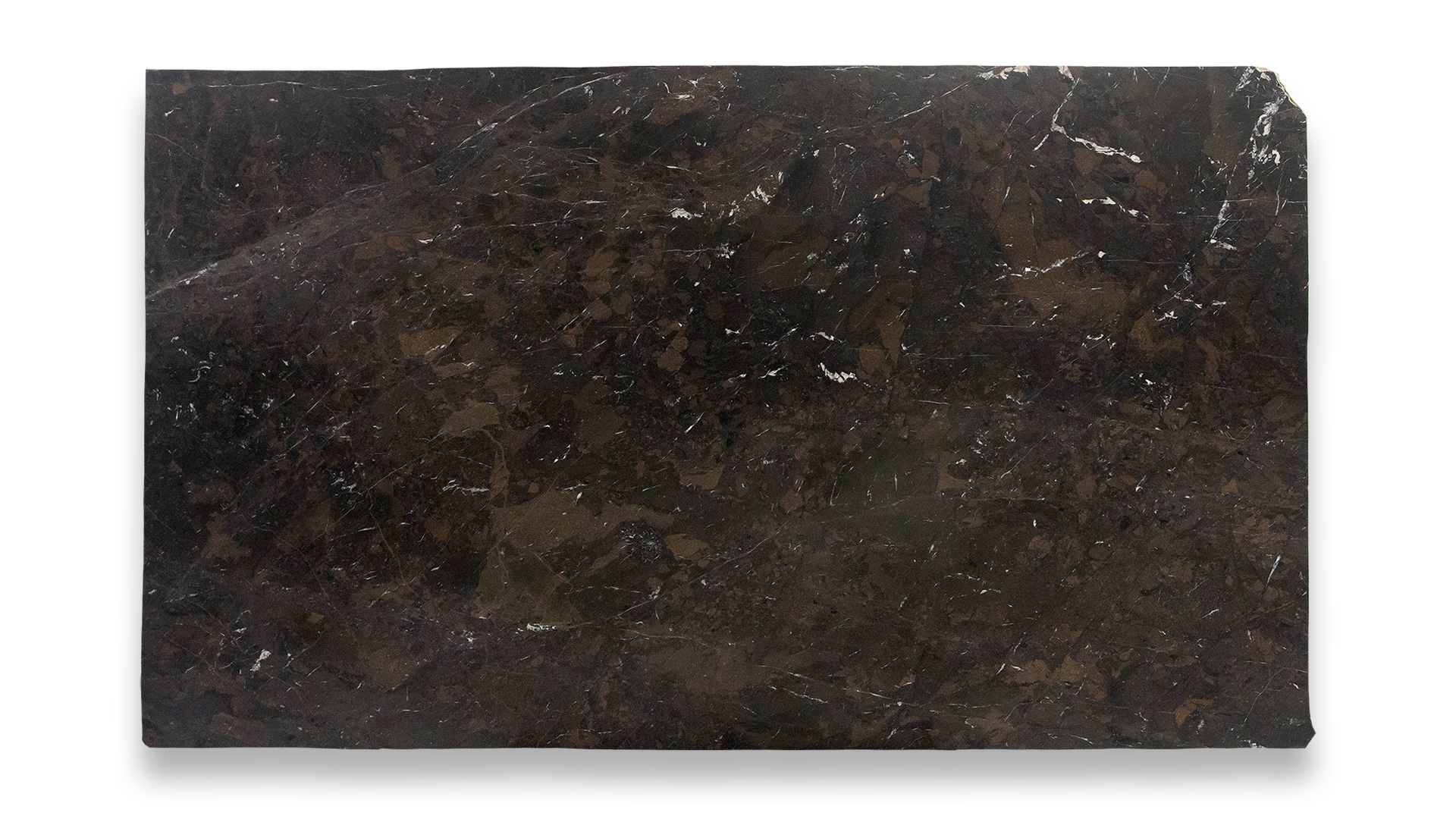 A single slab of Breccia Imperial Leathered Quartzite featuring rich dark brown tones with subtle white and light brown veining throughout.