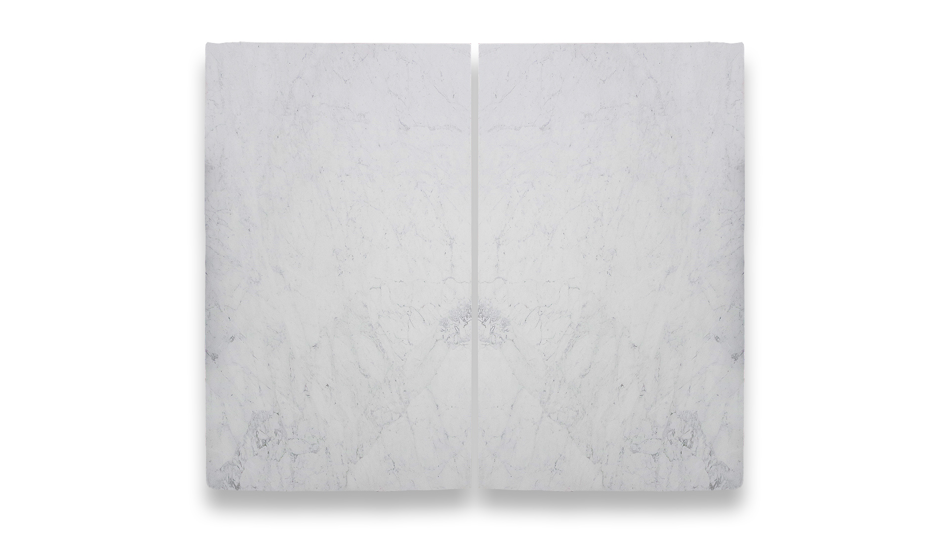 This image features a double-panel artwork with a symmetrical pattern resembling honed Bianco Carrara Extra marble, displaying white and light gray hues.