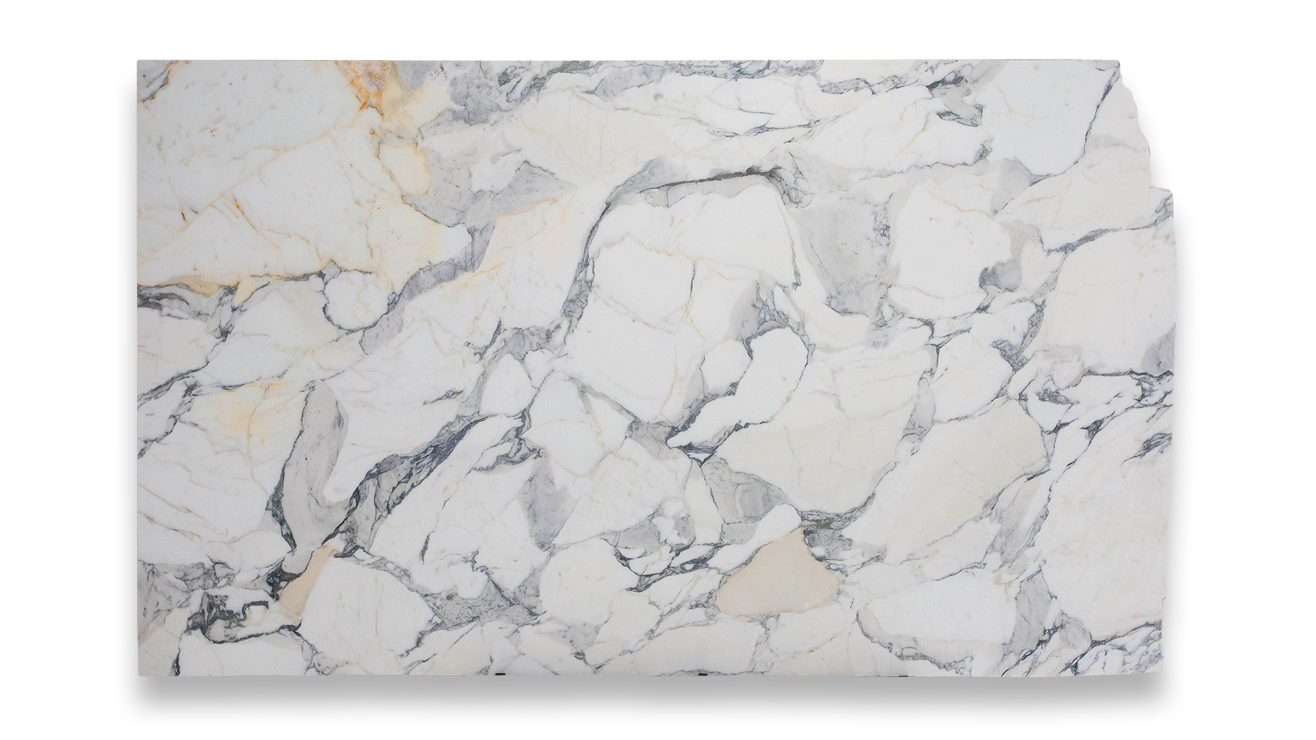 This image shows a slab of Calacatta Corchia Extra marble with a white background and intricate gray and gold veining throughout.