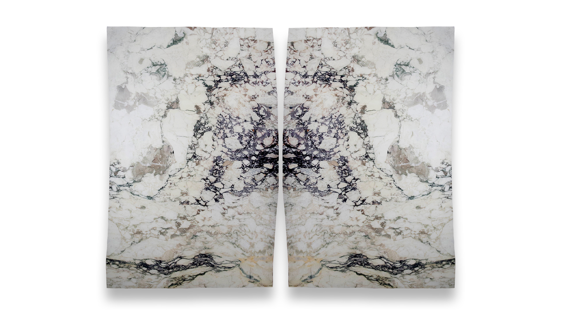 This image shows a duo layout of Calacatta Monet honed marble with a white background and prominent black, beige, and gray veining, mirrored symmetrically.