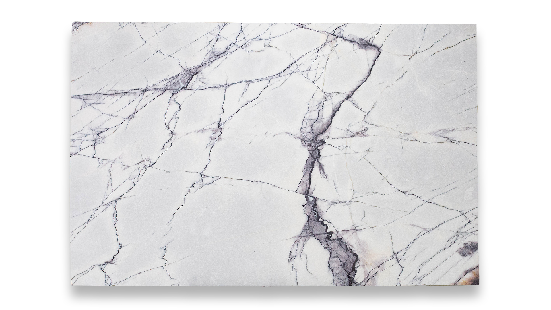 This image shows Lilac Polished marble with a white background, prominent dark purple veining creating intricate, web-like patterns.