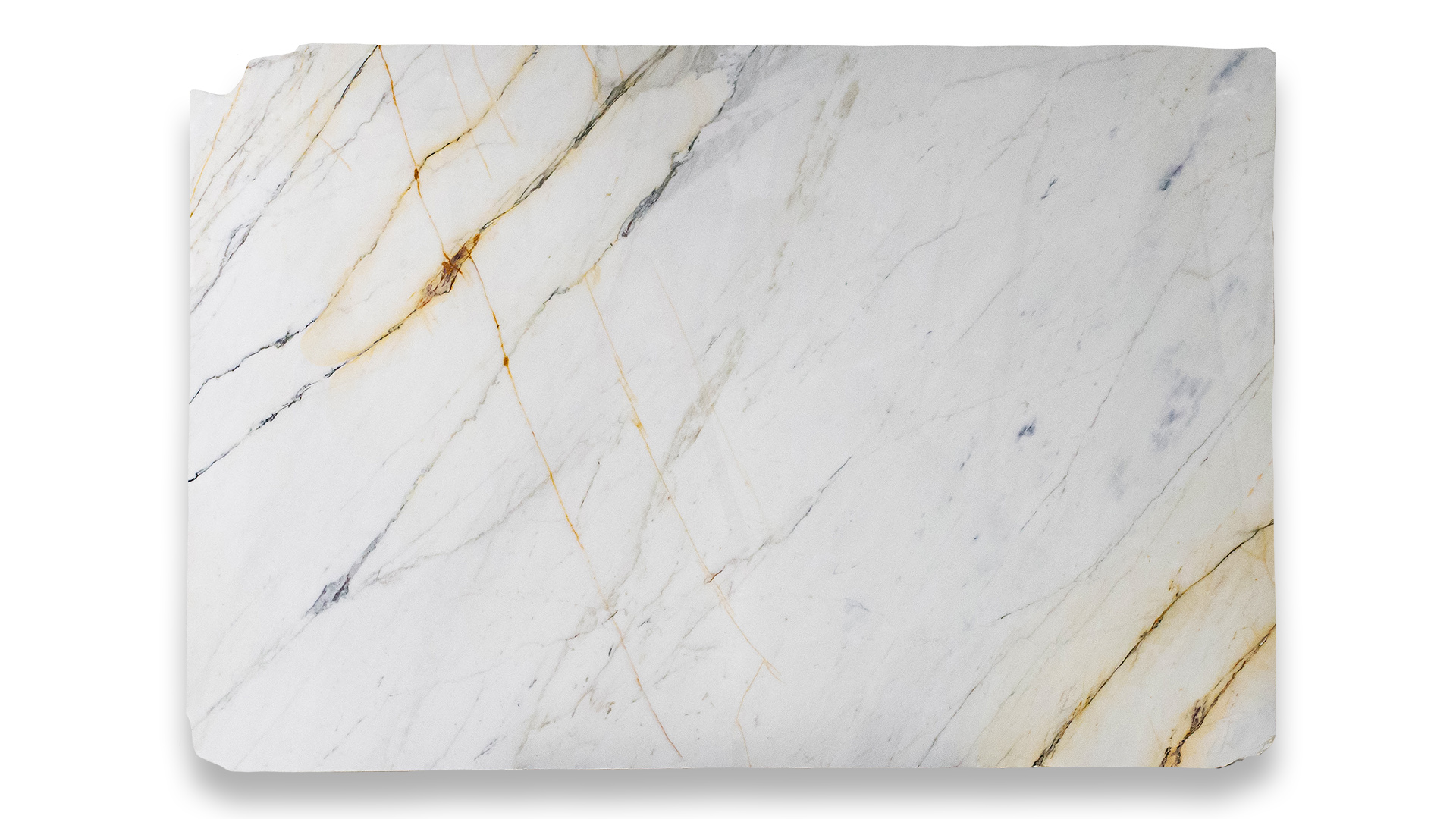 This image shows a Paonazzo Extra Polished marble slab with a white background, featuring prominent golden and grey veining throughout.