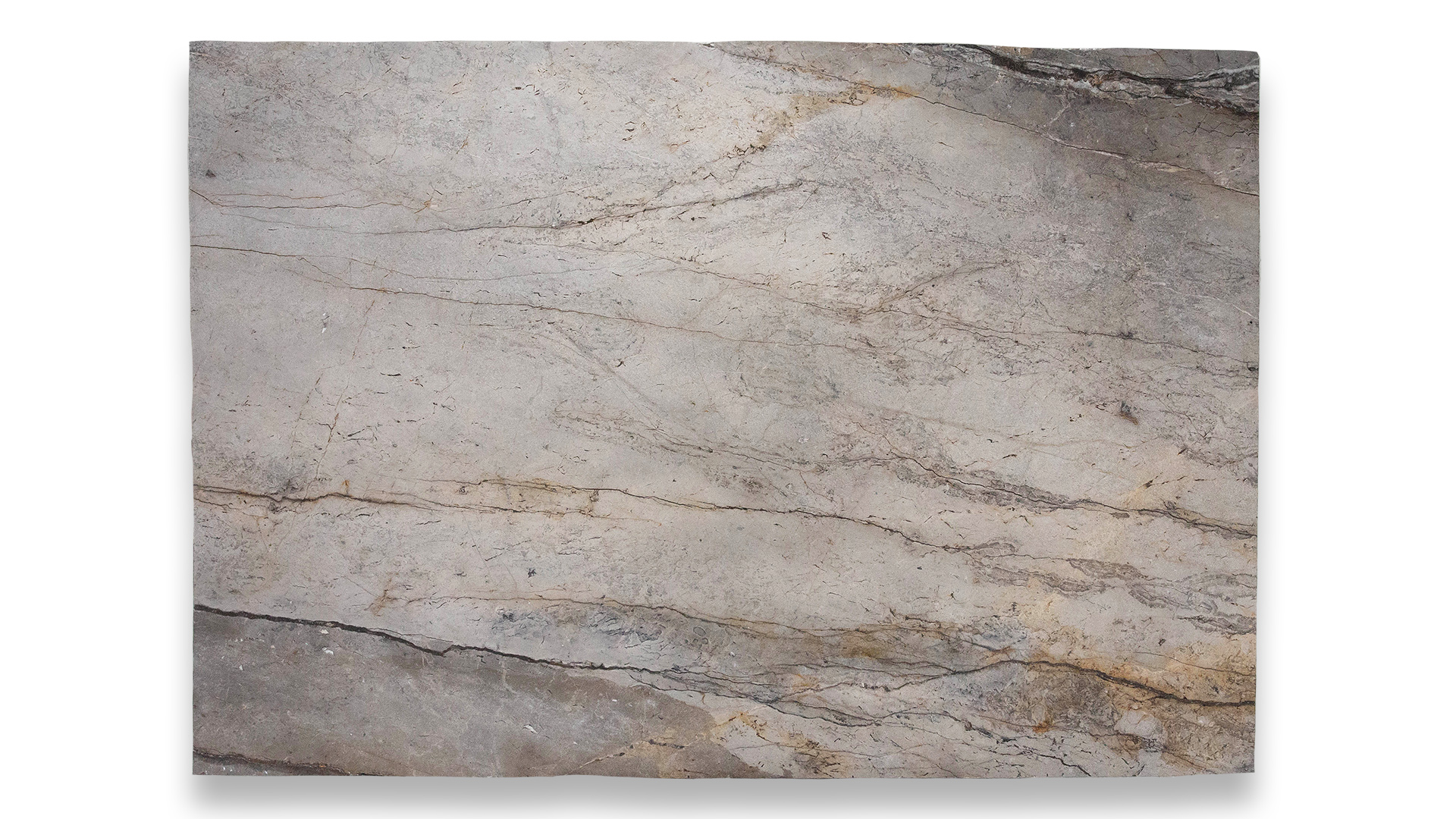 This image shows a Silver Roots Polished marble slab with subtle beige and gray tones, featuring fine, natural vein patterns throughout.