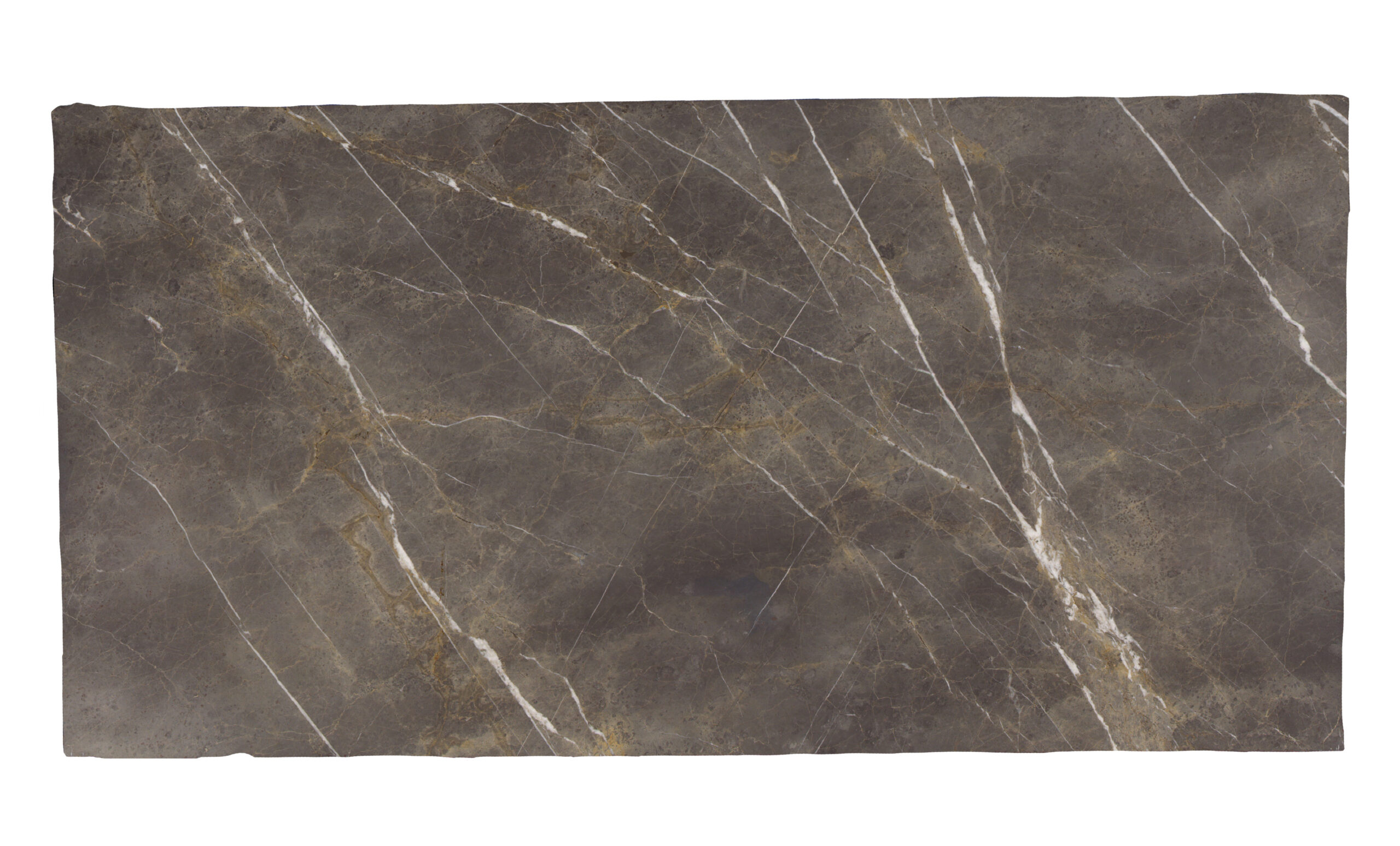 1507271 Honed COLLEMANDINA Marble scaled