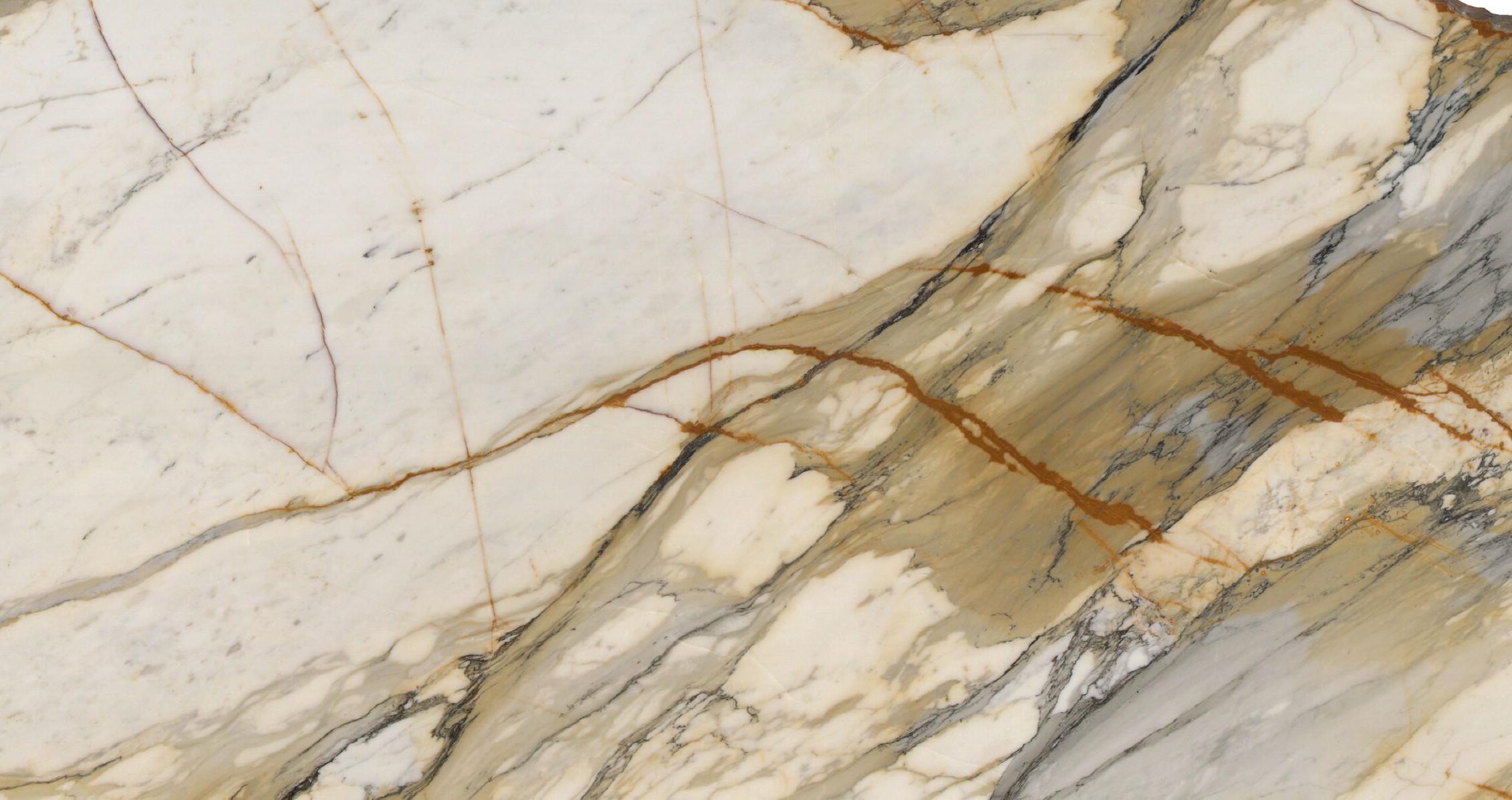 1063564 Calacatta Macchia Vecchia Polished Marble Single scaled