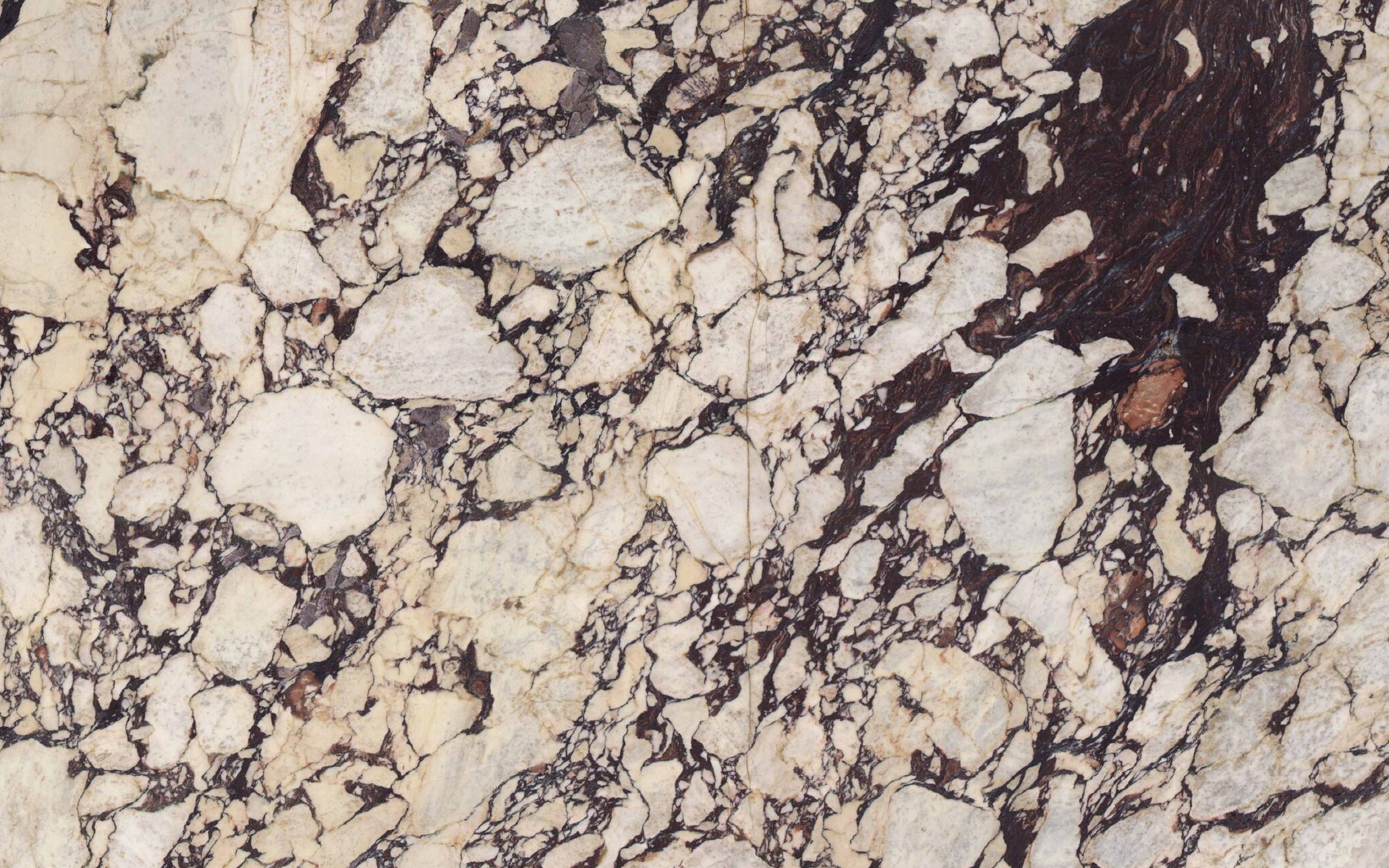 1063769 Calacatta Viola Marble Single scaled