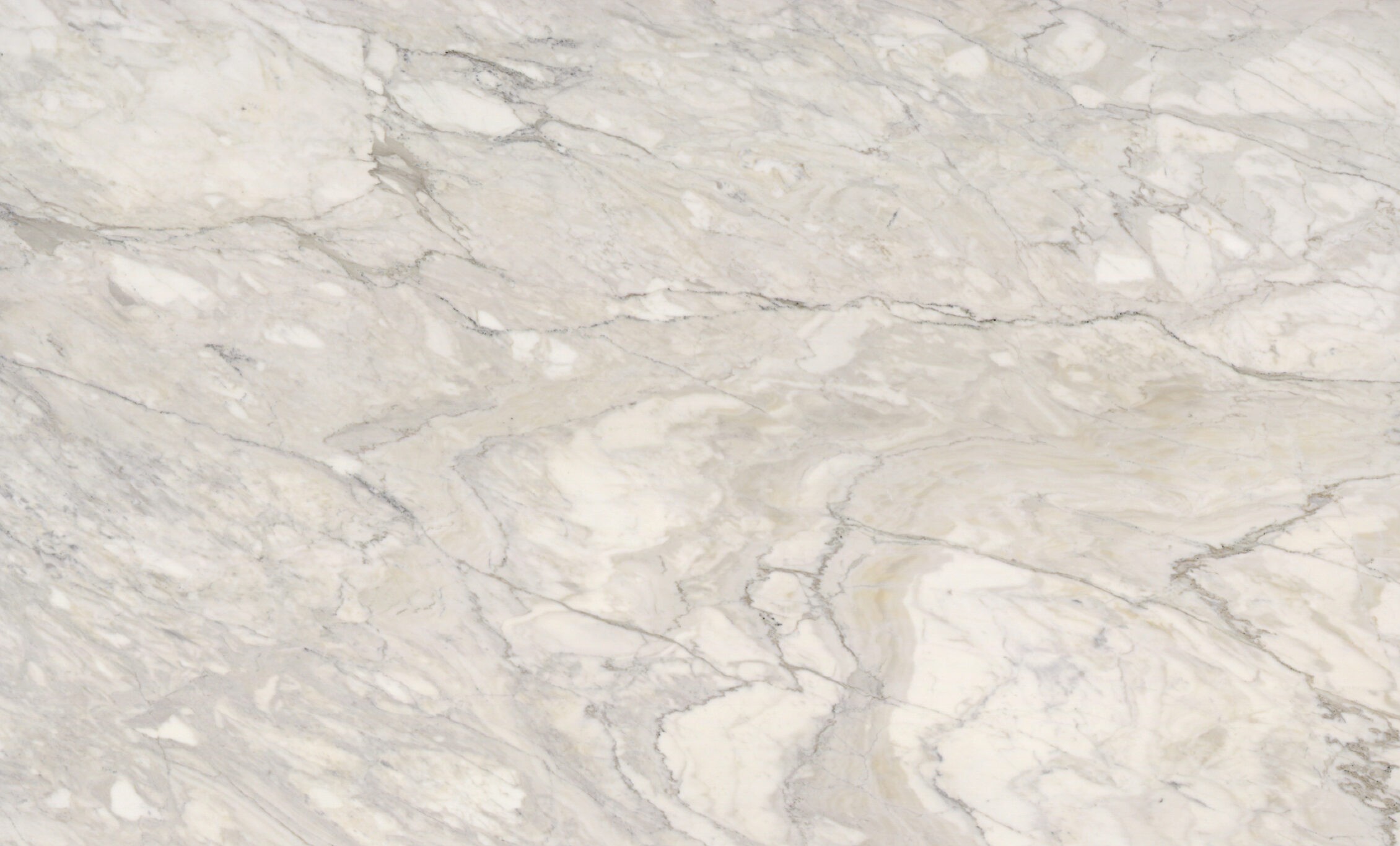 1150962 Calacata Crema Honed Marble Single scaled