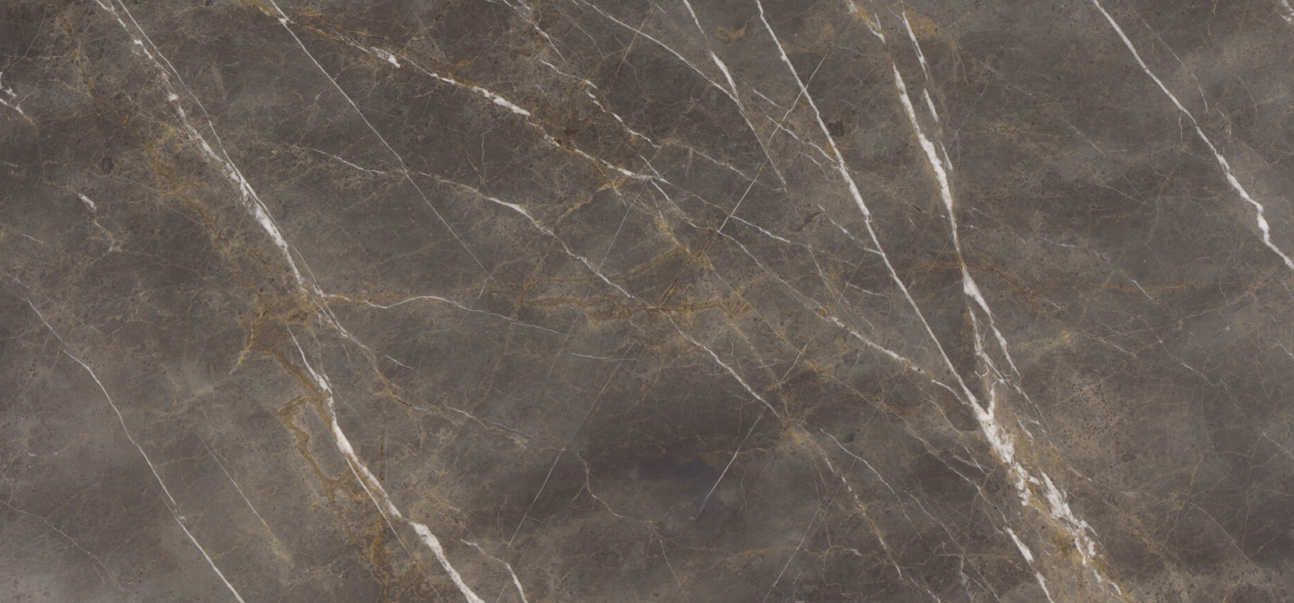 1507271 Honed COLLEMANDINA Marble 2048x1237