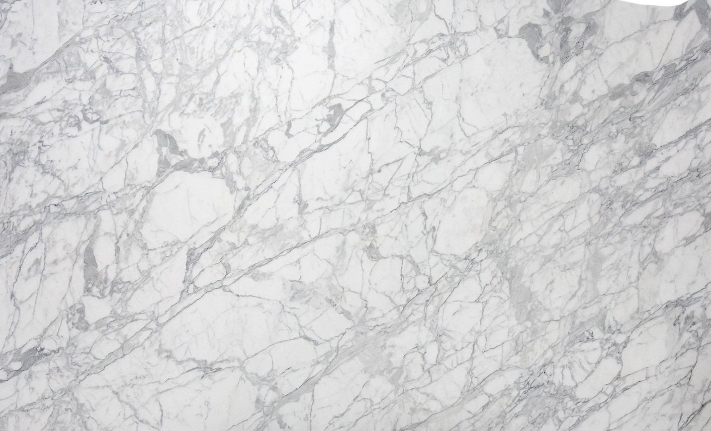 Calacatta Belgia Honed Marble