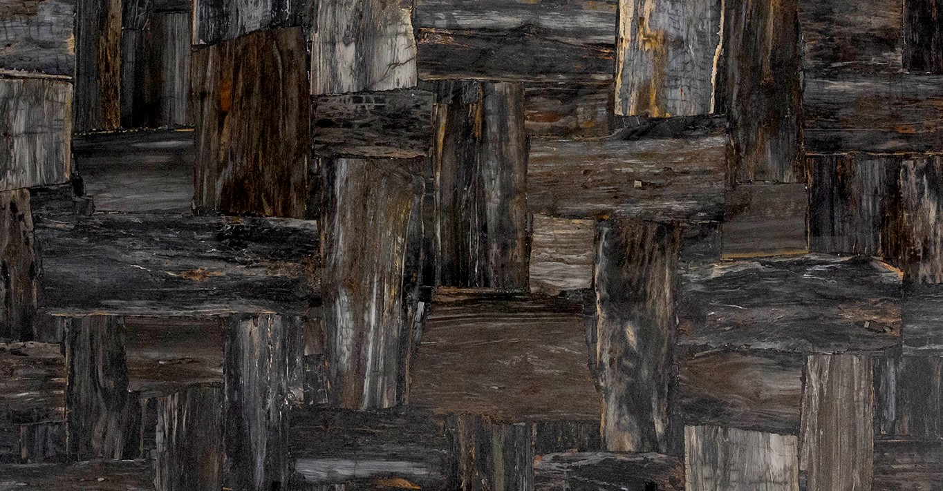 Semi Precious Petrified Wood