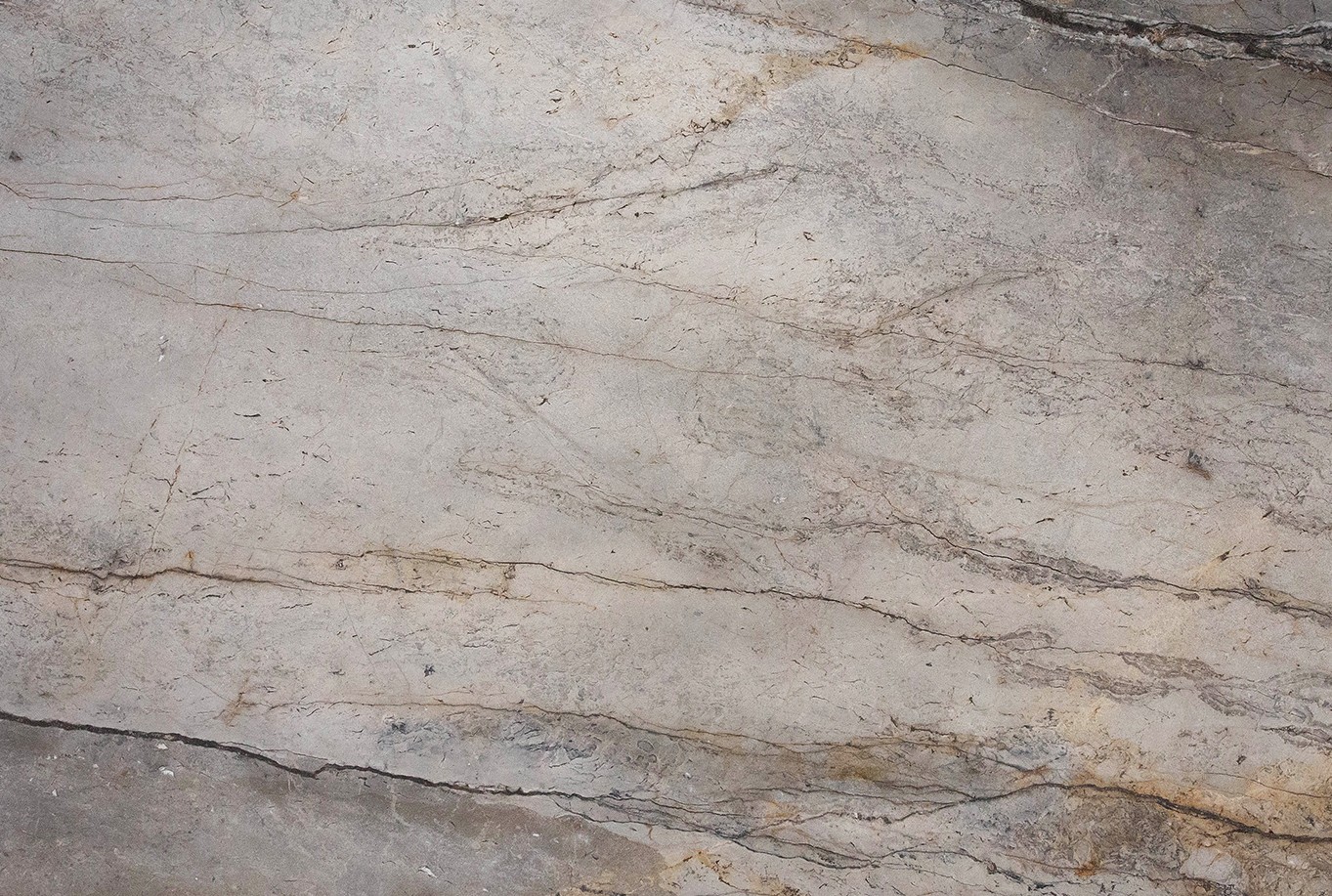 Silver Roots Polished Marble