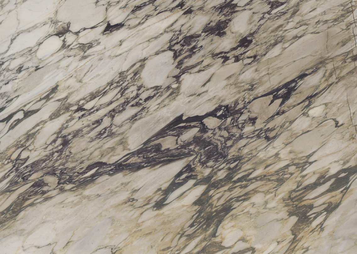 Screenshot 2026 01 09 at 11.31.55 AM