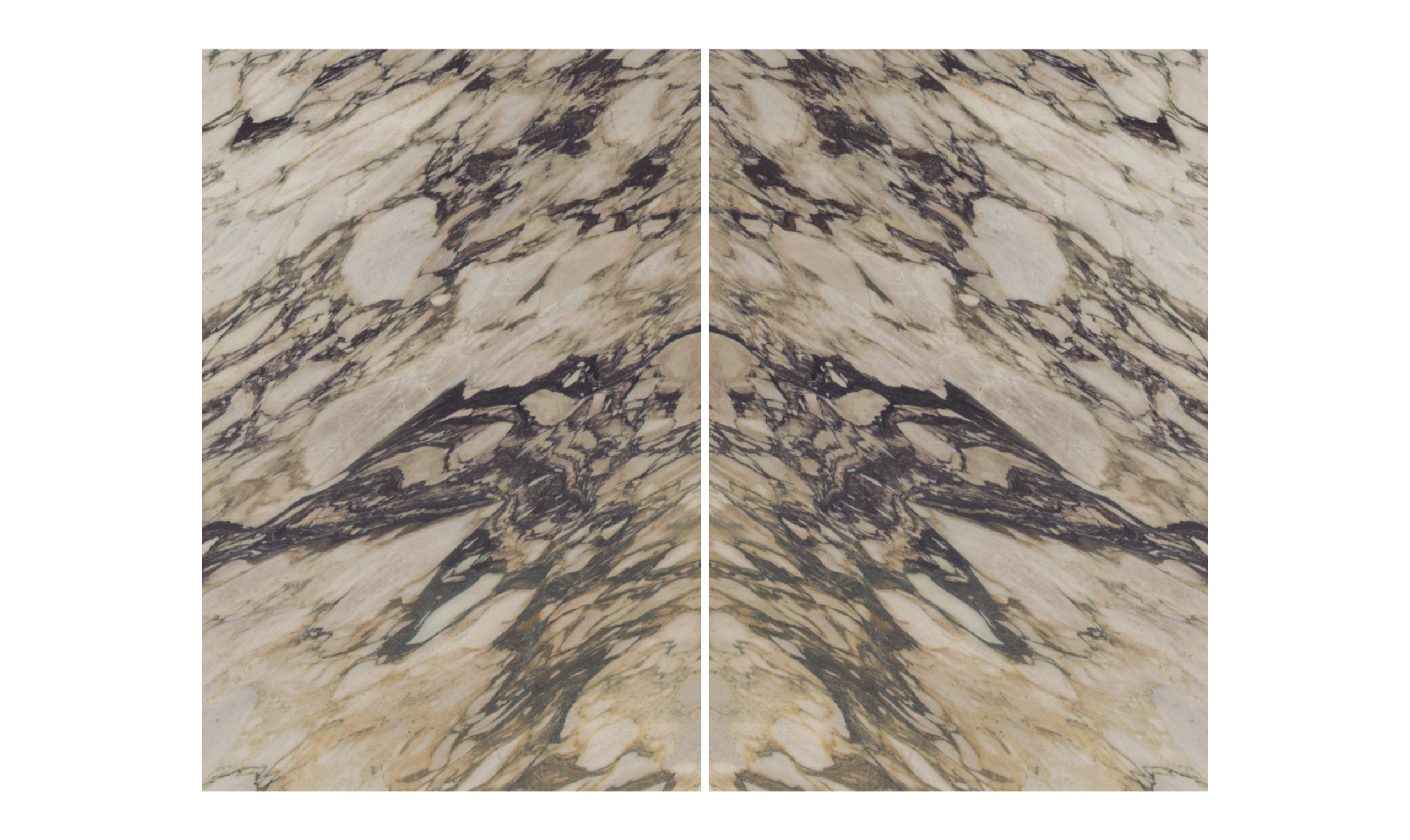 Book-matched marble slabs displaying mirrored veining patterns in a luxury residential installation.