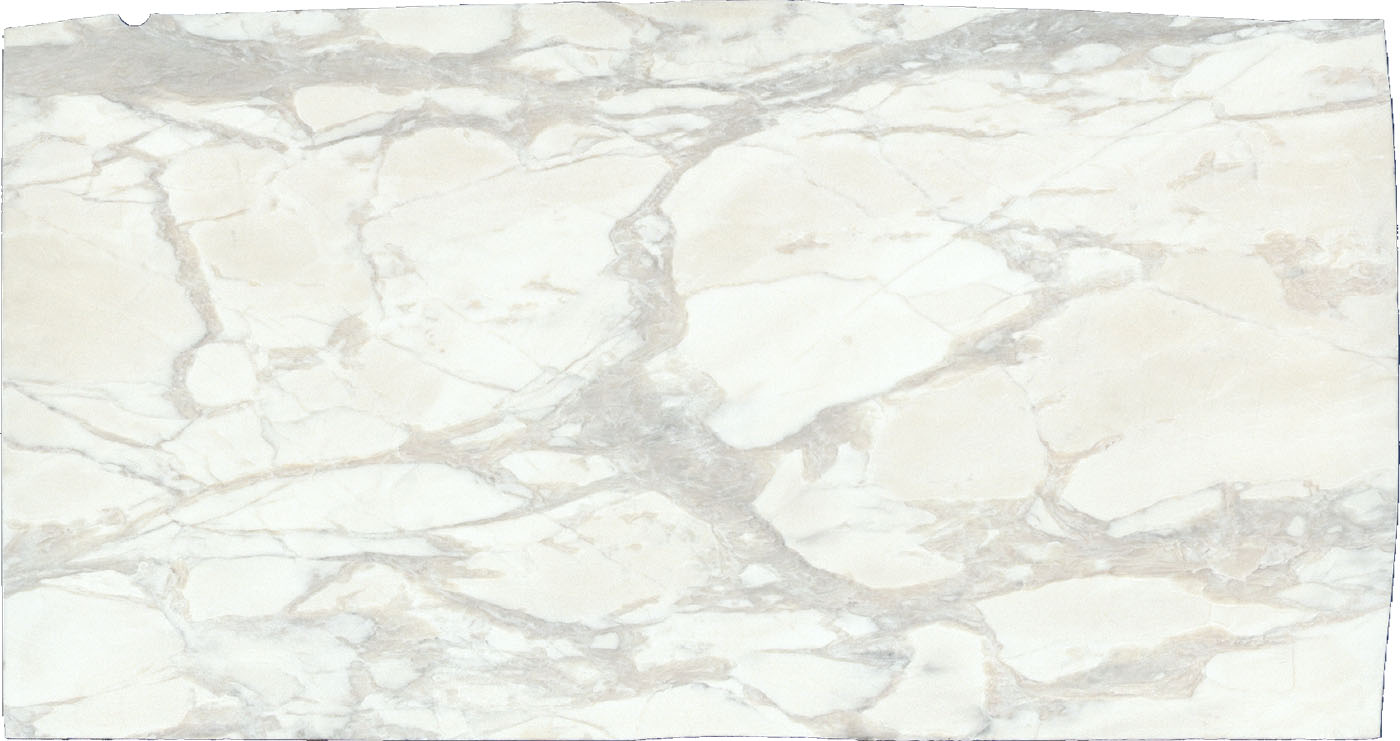 Polar White BU POLWHH2362