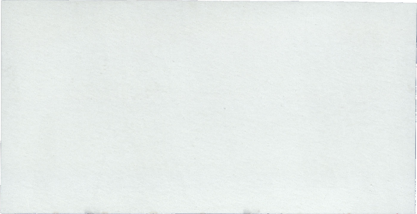 white king BU WHTKNGH2366